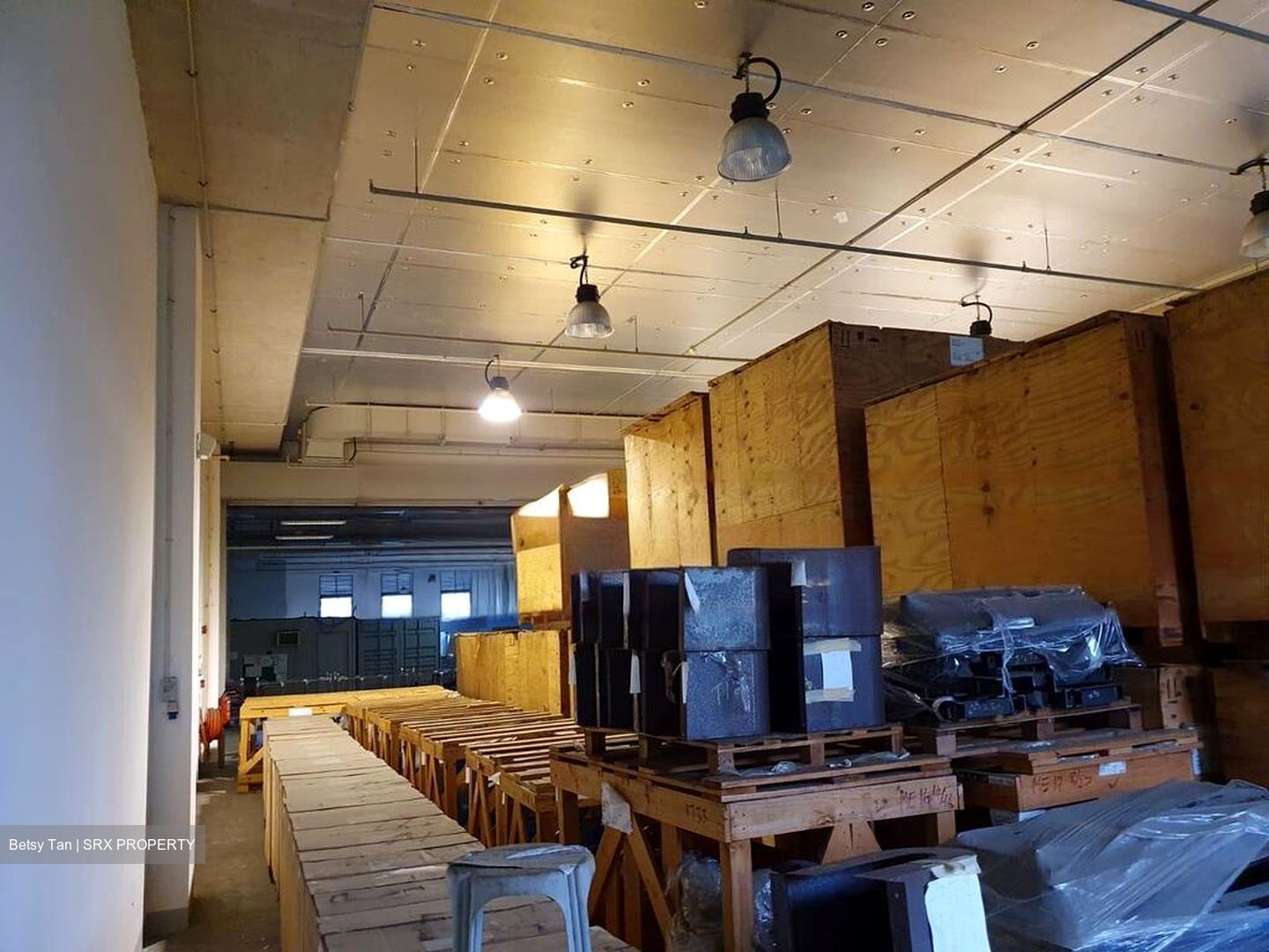 Westlink One (D22), Factory #494423271